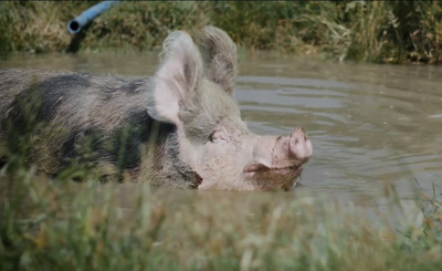 Butenland ist ein Kinofilm, der sich sehen lassen kann